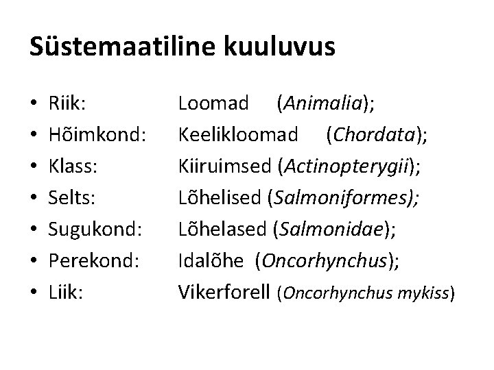 Süstemaatiline kuuluvus • • Riik: Hõimkond: Klass: Selts: Sugukond: Perekond: Liik: Loomad (Animalia); Keelikloomad