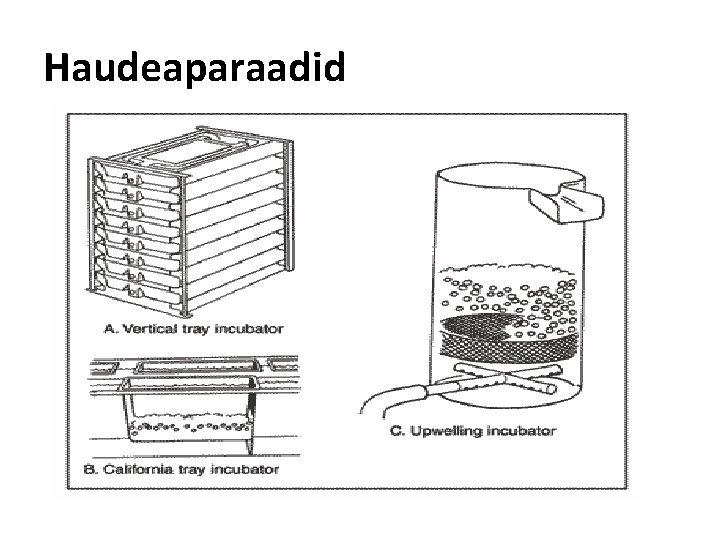Haudeaparaadid 