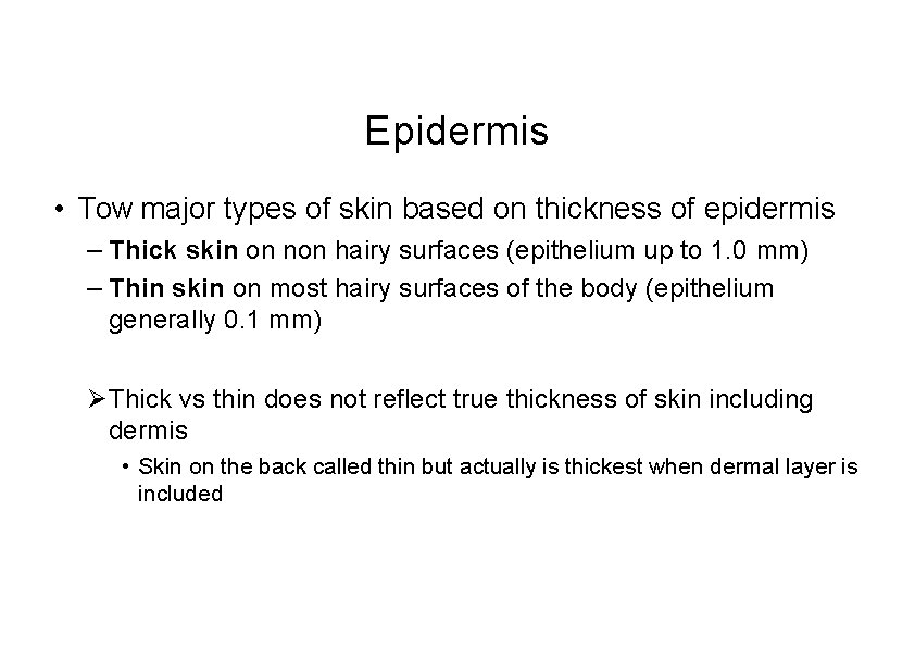 Epidermis • Tow major types of skin based on thickness of epidermis – Thick