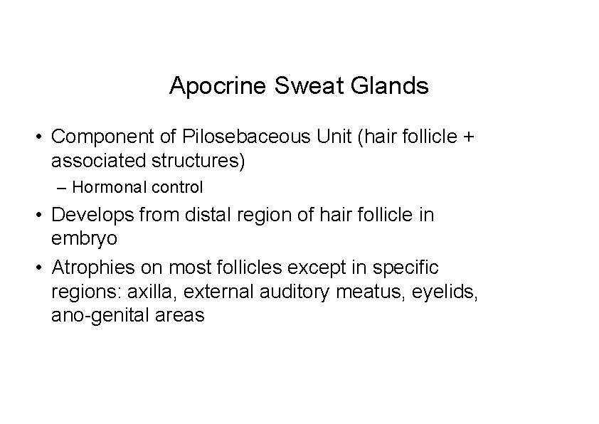 Apocrine Sweat Glands • Component of Pilosebaceous Unit (hair follicle + associated structures) –