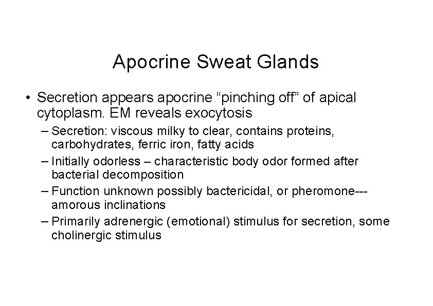 Apocrine Sweat Glands • Secretion appears apocrine “pinching off” of apical cytoplasm. EM reveals