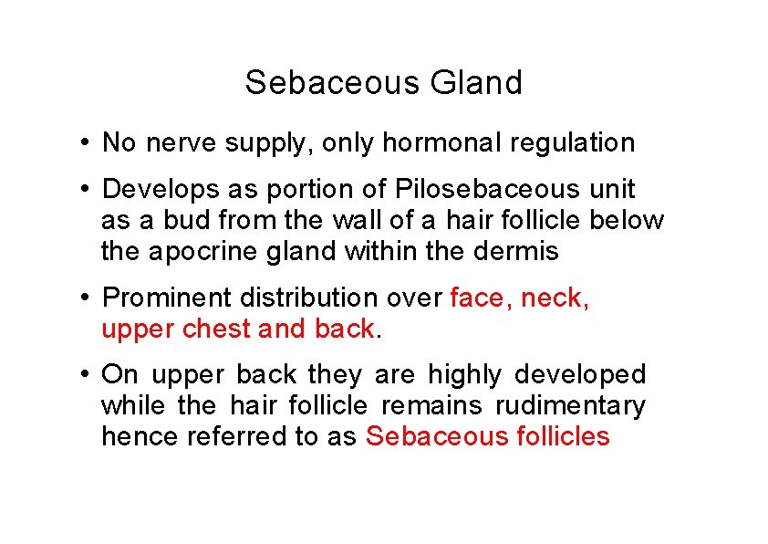 Sebaceous Gland • No nerve supply, only hormonal regulation • Develops as portion of