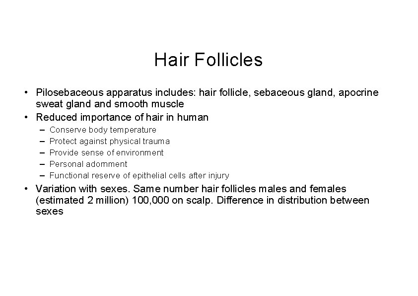 Hair Follicles • Pilosebaceous apparatus includes: hair follicle, sebaceous gland, apocrine sweat gland smooth