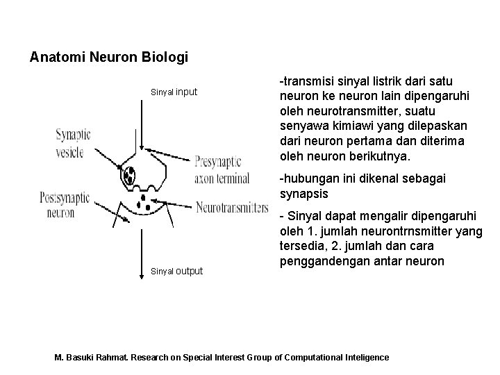 Anatomi Neuron Biologi Sinyal input -transmisi sinyal listrik dari satu neuron ke neuron lain