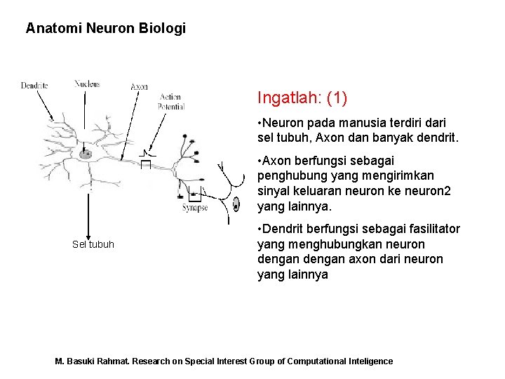 Anatomi Neuron Biologi Ingatlah: (1) • Neuron pada manusia terdiri dari sel tubuh, Axon