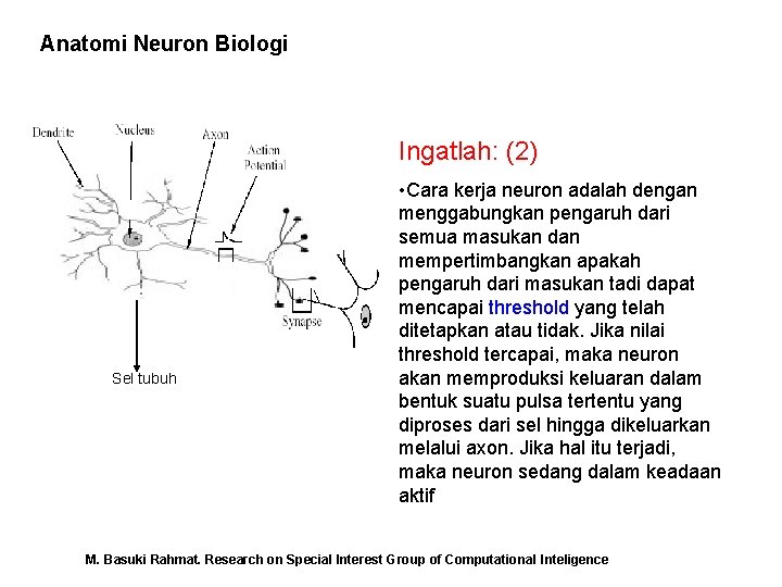 Anatomi Neuron Biologi Ingatlah: (2) Sel tubuh • Cara kerja neuron adalah dengan menggabungkan