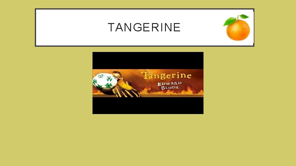 TANGERINE by Edward Bloor 