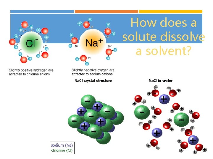 How does a solute dissolve a solvent? 