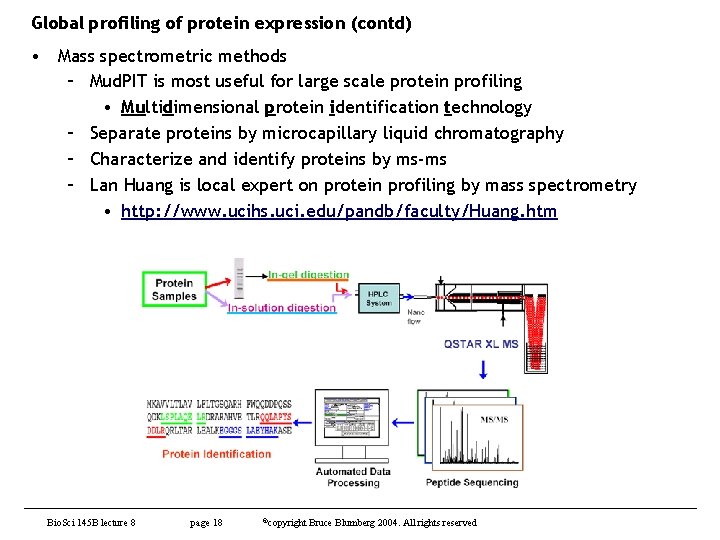 Global profiling of protein expression (contd) • Mass spectrometric methods – Mud. PIT is