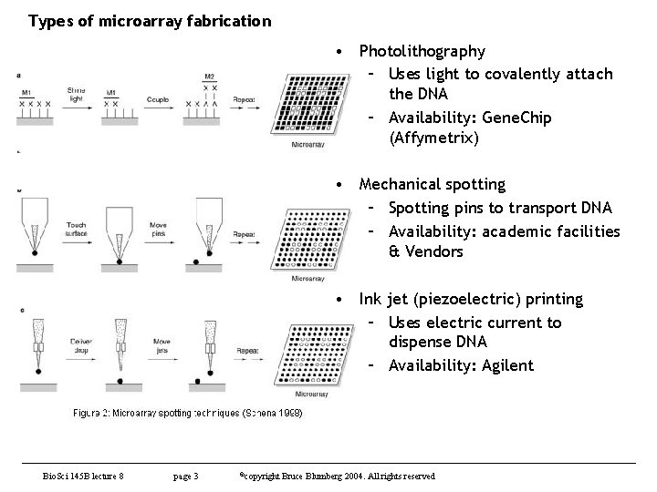 Types of microarray fabrication • Photolithography – Uses light to covalently attach the DNA