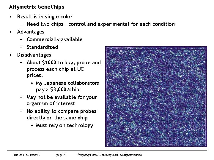 Affymetrix Gene. Chips • Result is in single color – Need two chips –