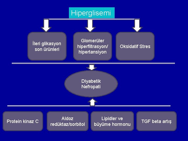 Hiperglisemi İleri glikasyon son ürünleri Glomerüler hiperfiltrasyon/ hipertansiyon Oksidatif Stres Diyabetik Nefropati Protein kinaz