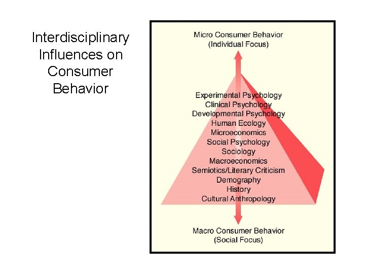 Interdisciplinary Influences on Consumer Behavior 