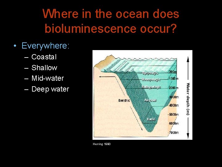 Where in the ocean does bioluminescence occur? • Everywhere: – – Coastal Shallow Mid-water