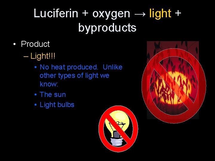 Luciferin + oxygen → light + byproducts • Product – Light!!! • No heat