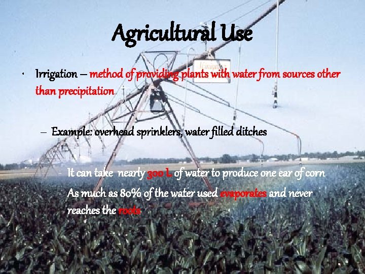 Agricultural Use • Irrigation – method of providing plants with water from sources other