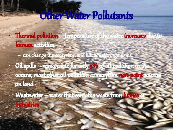 Other Water Pollutants • Thermal pollution – temperature of the water increases due to
