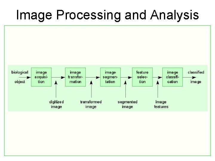 Image Processing and Analysis Image Processing and Analysis