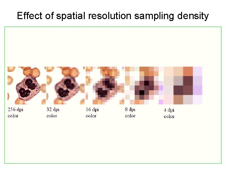 Effect of spatial resolution sampling density Effect of spatial resolution sampling density