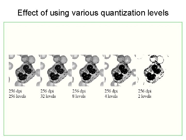 Effect of using various quantization levels Effect of using various quantization levels