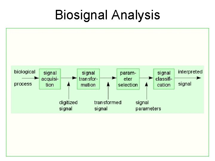 Biosignal Analysis Biosignal Analysis