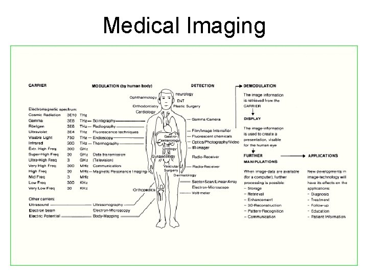Medical Imaging Medical Imaging