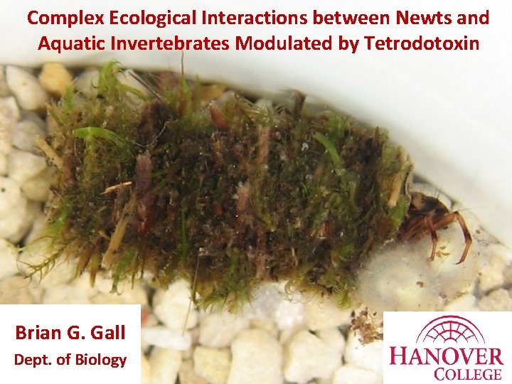 Complex Ecological Interactions between Newts and Aquatic Invertebrates Modulated by Tetrodotoxin Brian G. Gall