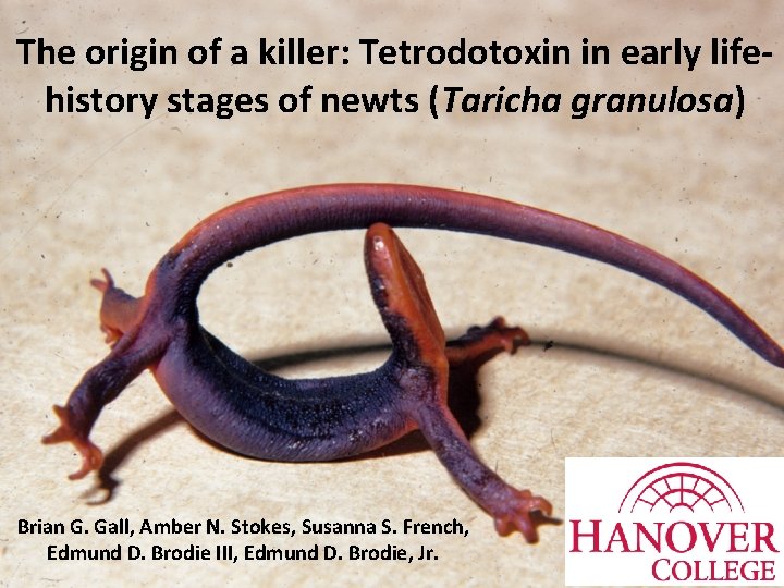 The origin of a killer: Tetrodotoxin in early lifehistory stages of newts (Taricha granulosa)