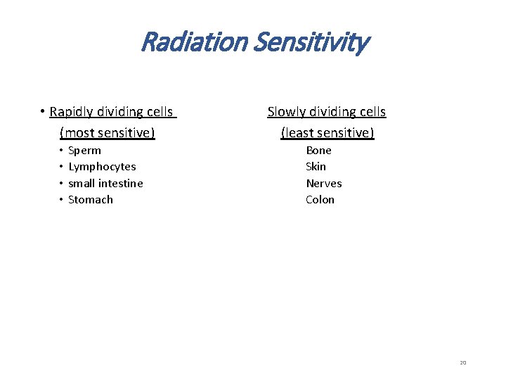 Radiation Sensitivity • Rapidly dividing cells (most sensitive) Slowly dividing cells (least sensitive) Sperm