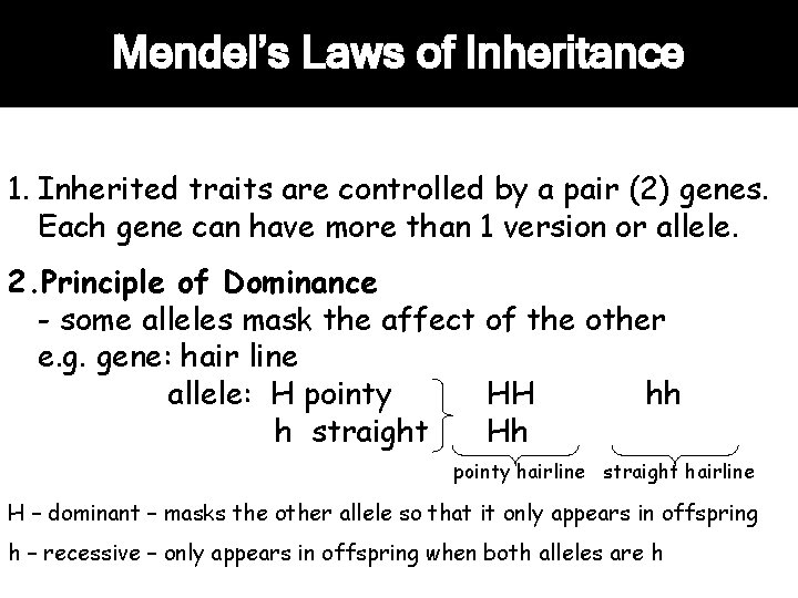 Mendel’s Laws of Inheritance 1. Inherited traits are controlled by a pair (2) genes.