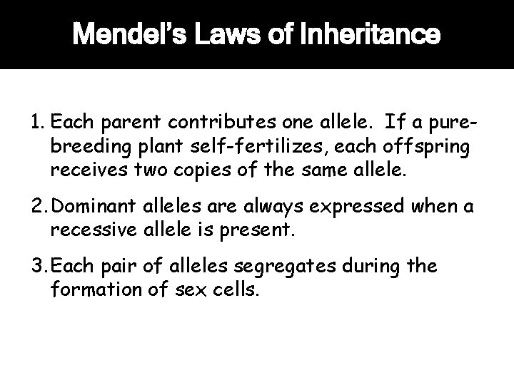 Mendel’s Laws of Inheritance 1. Each parent contributes one allele. If a purebreeding plant