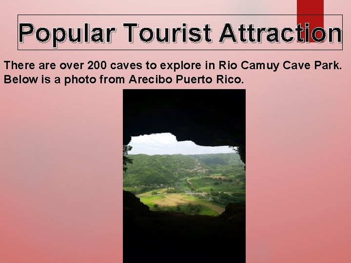 Popular Tourist Attraction There are over 200 caves to explore in Rio Camuy Cave