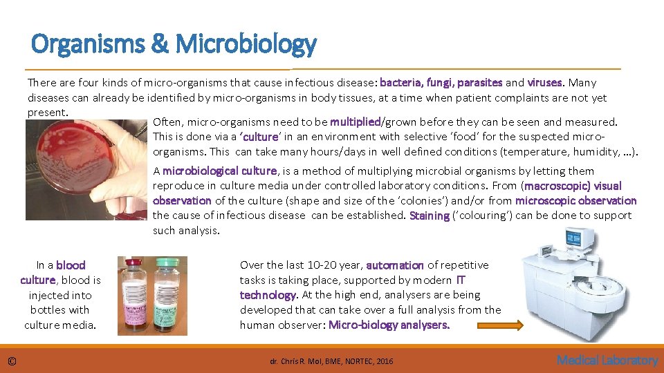 Organisms & Microbiology There are four kinds of micro-organisms that cause infectious disease: bacteria,