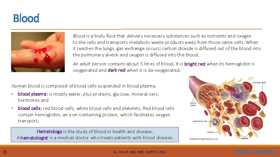 Blood is a body fluid that delivers necessary substances such as nutrients and oxygen