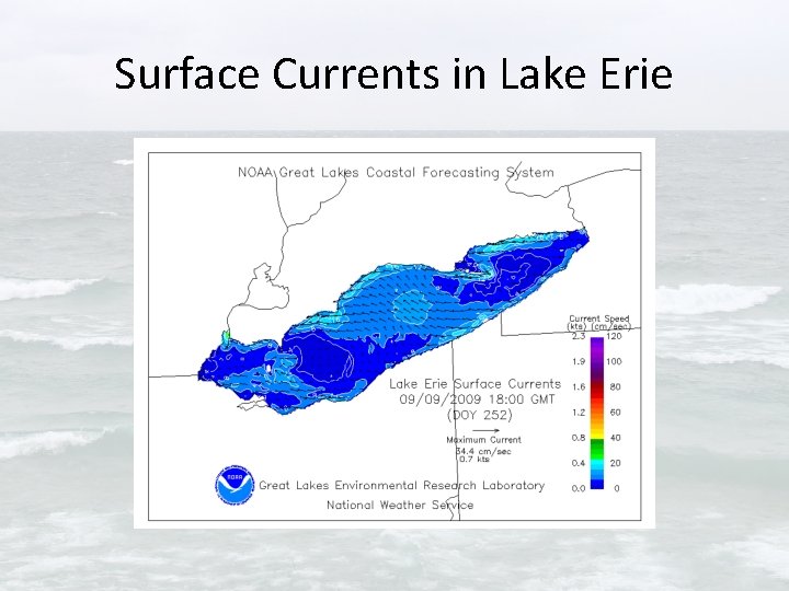 Surface Currents in Lake Erie 