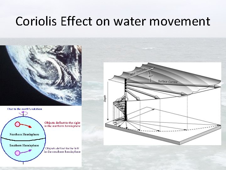 Coriolis Effect on water movement 