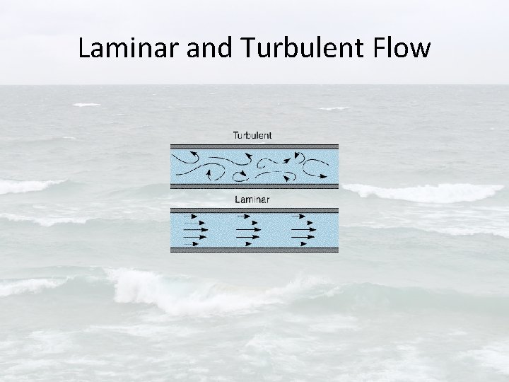 Laminar and Turbulent Flow 