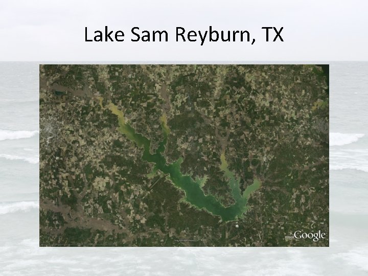 Lake Sam Reyburn, TX 