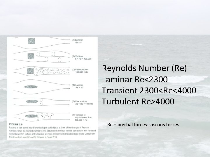 Reynolds Number (Re) Laminar Re<2300 Transient 2300<Re<4000 Turbulent Re>4000 Re = inertial forces: viscous