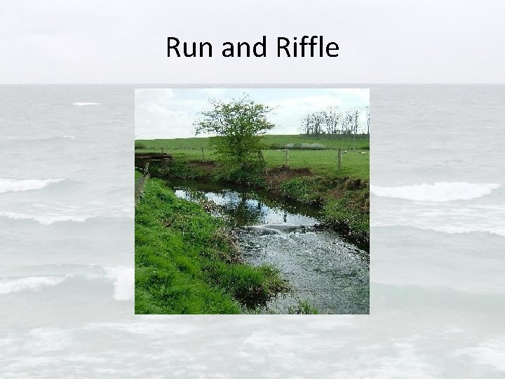 Run and Riffle 