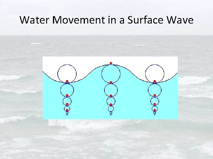 Water Movement in a Surface Wave 