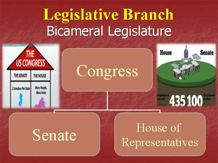 Legislative Branch Bicameral Legislature Congress Senate House of Representatives 