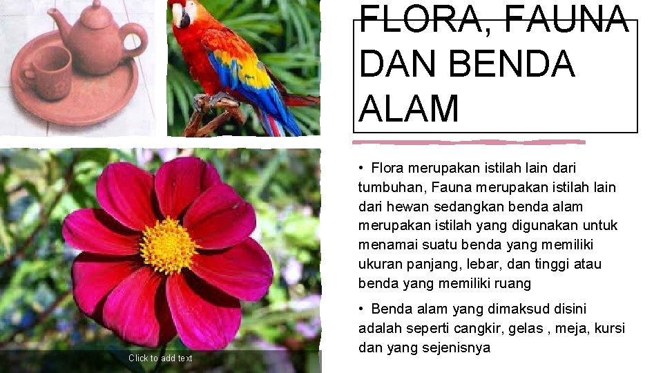 FLORA, FAUNA DAN BENDA ALAM • Flora merupakan istilah lain dari tumbuhan, Fauna merupakan