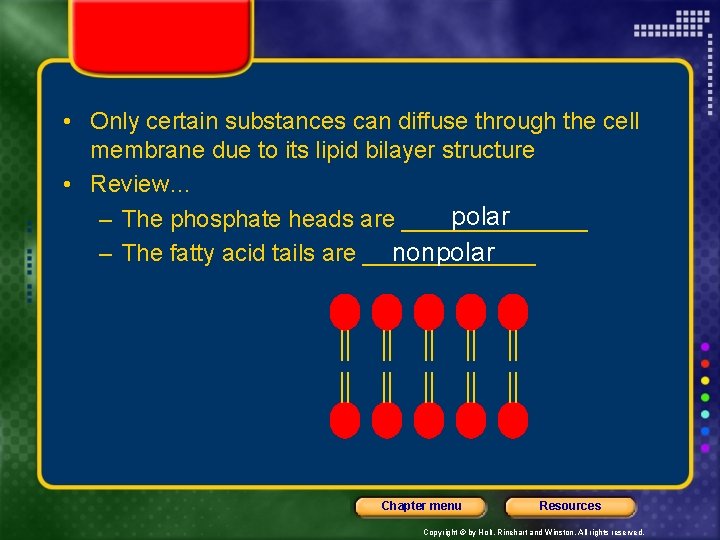  • Only certain substances can diffuse through the cell membrane due to its