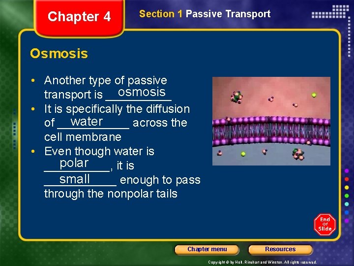 Chapter 4 Section 1 Passive Transport Osmosis • Another type of passive osmosis transport