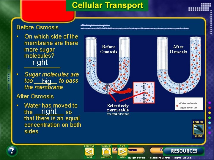 Before Osmosis http: //highered. mcgrawhill. com/sites/0072495855/student_view 0/chapter 2/animation__how_osmosis_works. html • On which side of