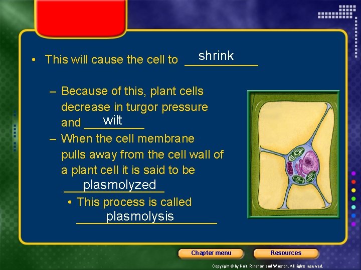 shrink • This will cause the cell to ______ – Because of this, plant