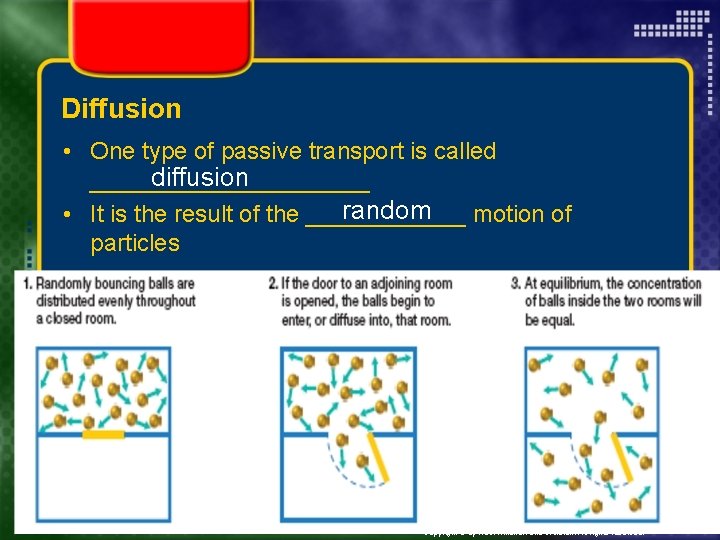 Diffusion • One type of passive transport is called diffusion ___________ random • It