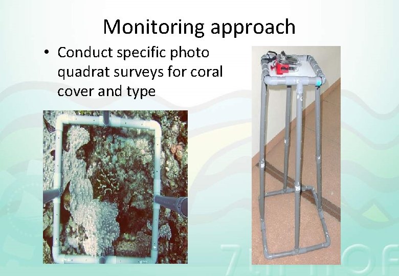 Monitoring approach • Conduct specific photo quadrat surveys for coral cover and type 