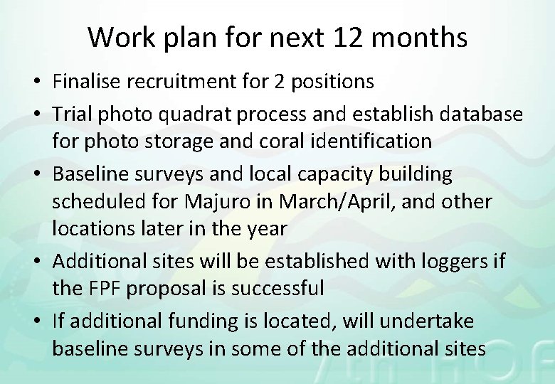 Work plan for next 12 months • Finalise recruitment for 2 positions • Trial